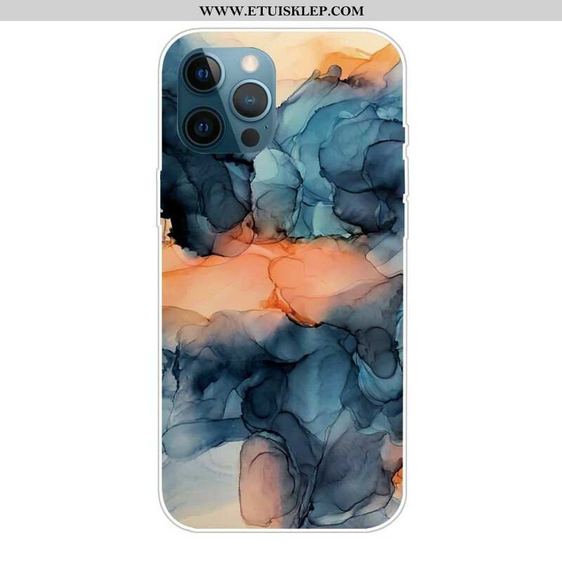 Etui do iPhone 13 Pro Kolory Marmuru